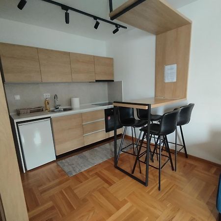 Апартаменты Cvetkovic LUX Аpartmani&Free GARAŽA Врнячка-Баня Номер фото