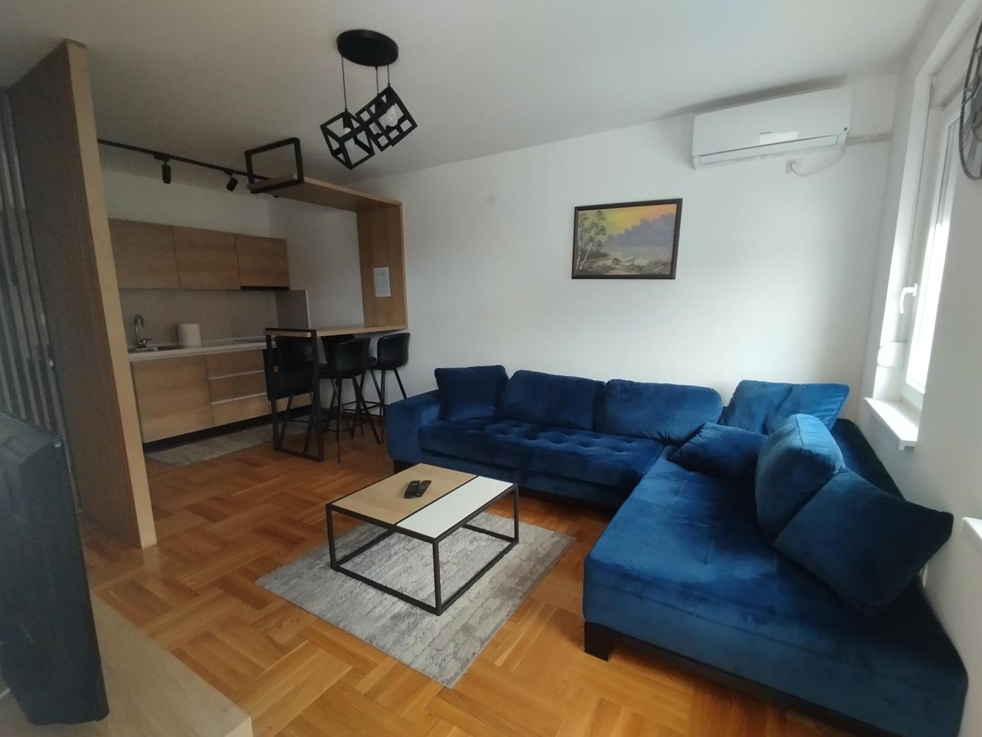 Апартаменты Cvetkovic LUX Аpartmani&Free GARAŽA Врнячка-Баня Номер фото